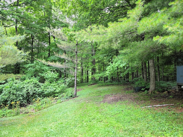8310 Dog Trot Ln, Morgantown, IN 46160 - view of grassy yard with a forest view