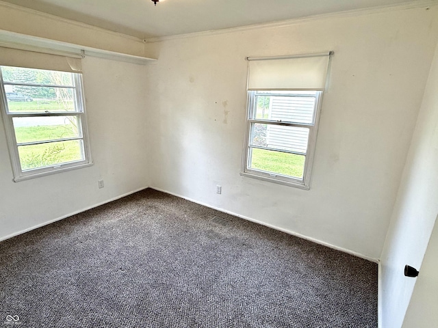 910 Lonsvale Dr, Anderson, IN 46013 - empty room with healthy amount of natural light, dark colored carpet, ornamental molding, and baseboards