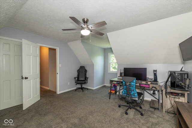 1135 W Wildflower Ct, Mooresville, IN 46158 - office space featuring vaulted ceiling, a ceiling fan, a textured ceiling, carpet floors, and baseboards