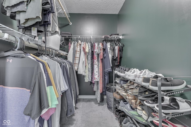 933 Curlew Ln, Greenwood, IN 46143 - spacious closet with carpet