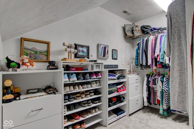3533 Alexandria Pike, Anderson, IN 46012 - spacious closet with vaulted ceiling and carpet flooring