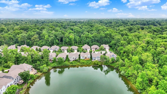 1071 Serenity Ct, Carmel, IN 46280 - aerial perspective of suburban area with a heavily wooded area and a large body of water
