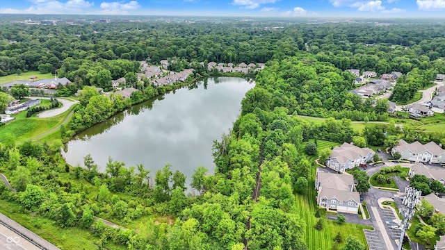 1071 Serenity Ct, Carmel, IN 46280 - aerial view of property's location with a large body of water, nearby suburban area, and a forest