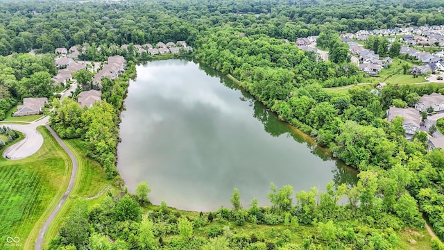 1071 Serenity Ct, Carmel, IN 46280 - aerial perspective of suburban area with a large body of water