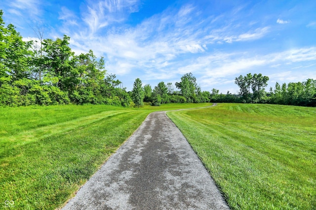 1071 Serenity Ct, Carmel, IN 46280 - view of road