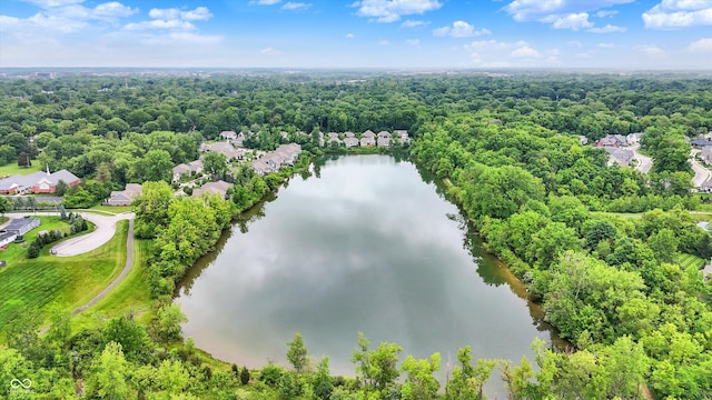 1071 Serenity Ct, Carmel, IN 46280 - bird's eye view of a large body of water and a heavily wooded area