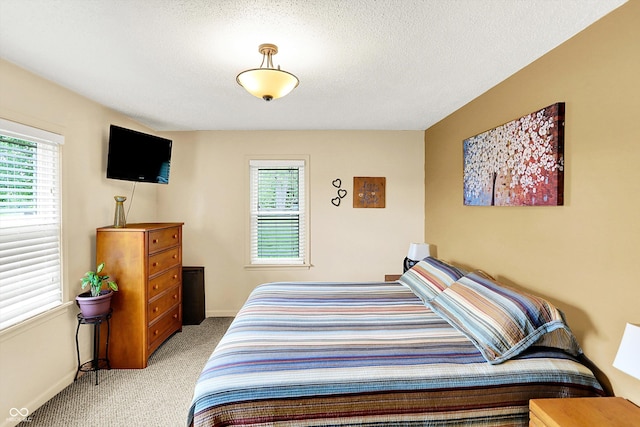 4125 S Post Rd, Indianapolis, IN 46239 - bedroom with multiple windows, carpet flooring, and baseboards