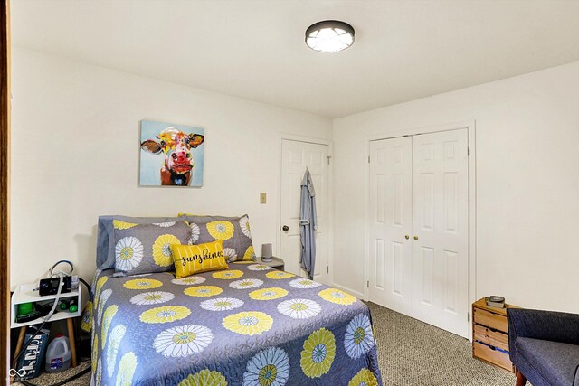 4125 S Post Rd, Indianapolis, IN 46239 - carpeted bedroom with a closet