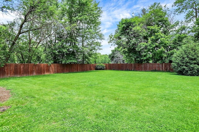 4125 S Post Rd, Indianapolis, IN 46239 - view of yard