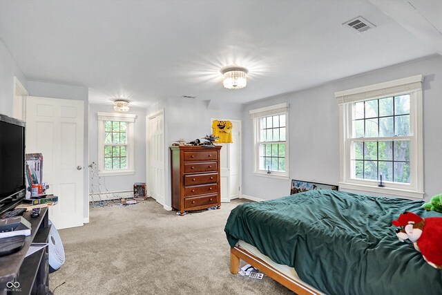 8301 E County Road 801 S, Plainfield, IN 46168 - bedroom featuring multiple windows, light carpet, and baseboards