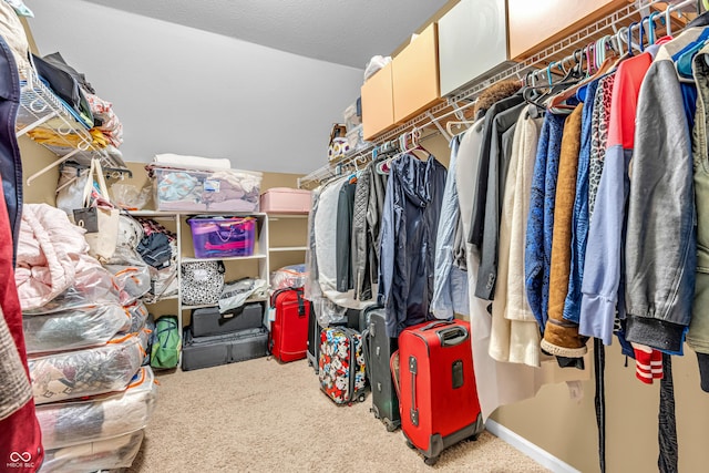 9754 Bradford Knoll Dr, Fishers, IN 46037 - walk in closet with carpet