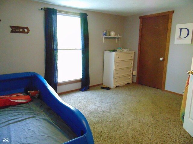 205 W S St, Darlington, IN 47940 - bedroom with multiple windows, baseboards, and carpet floors