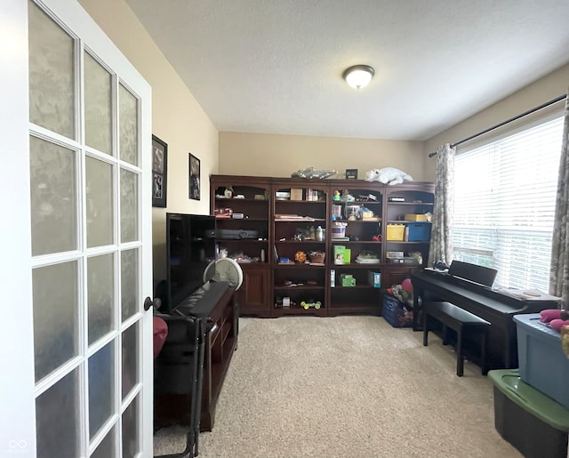 5010 Cabrillo Dr, Plainfield, IN 46168 - view of carpeted office