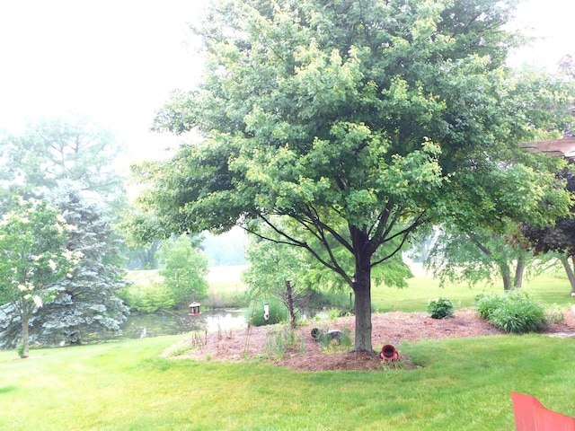 681 S County Road 150 W, Greensburg, IN 47240 - view of green lawn