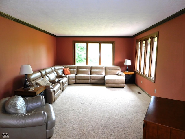 681 S County Road 150 W, Greensburg, IN 47240 - living room featuring carpet flooring and ornamental molding