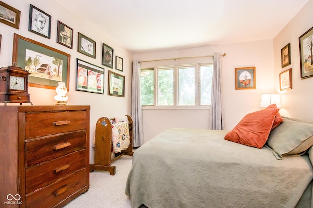 3935 Offshore Dr, Columbus, IN 47203 - view of carpeted bedroom