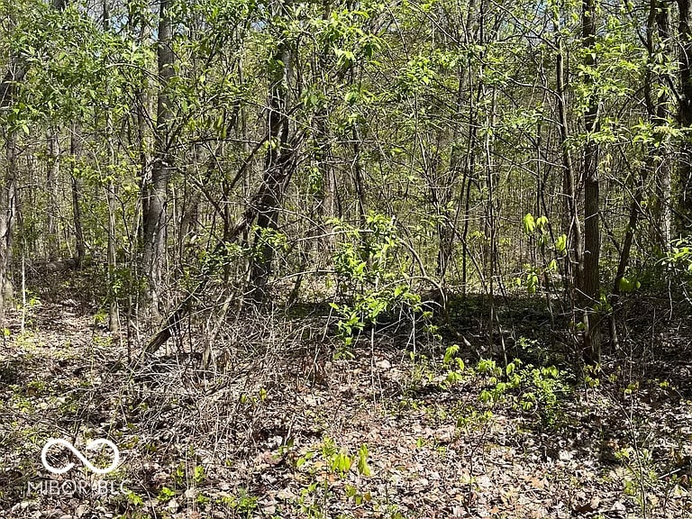 0 Cottonwood Rd, Morgantown, IN 46160 - photo 1