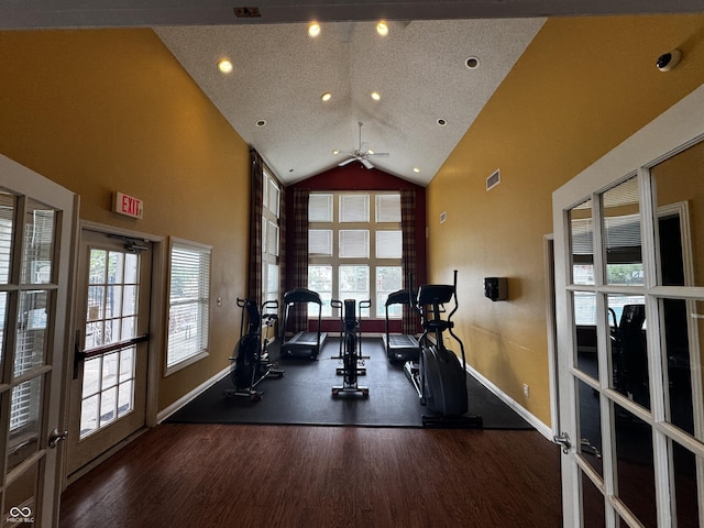 2509 Cedarmill Dr, Franklin, IN 46131 - workout room featuring healthy amount of natural light, high vaulted ceiling, a ceiling fan, baseboards, and wood finished floors
