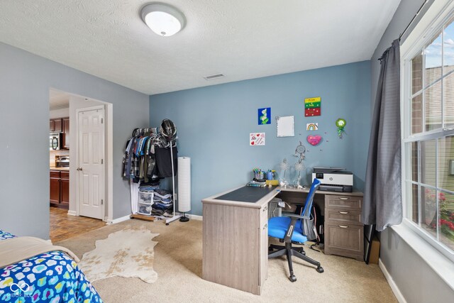 2509 Cedarmill Dr, Franklin, IN 46131 - bedroom with light carpet, an office area, multiple windows, baseboards, and a textured ceiling