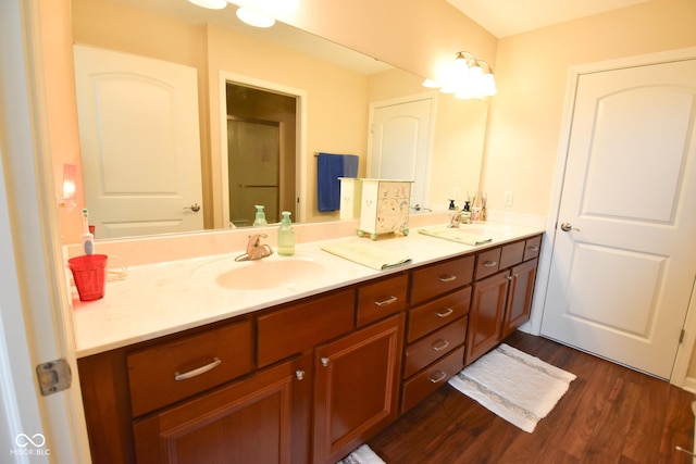1150 Extraordinary Trl, Greenfield, IN 46140 - bathroom with double vanity, wood finished floors, and a shower with door