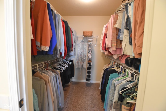 1150 Extraordinary Trl, Greenfield, IN 46140 - walk in closet featuring carpet flooring