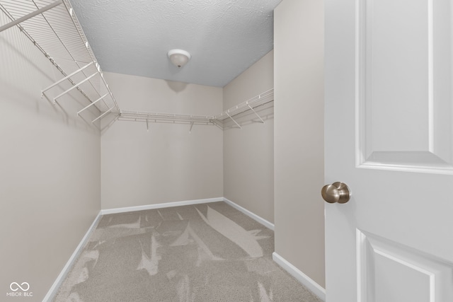 4539 Maldenhair Dr, Indianapolis, IN 46239 - spacious closet with carpet floors