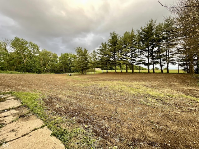 6593 N 800 W, Elwood, IN 46036 - view of yard