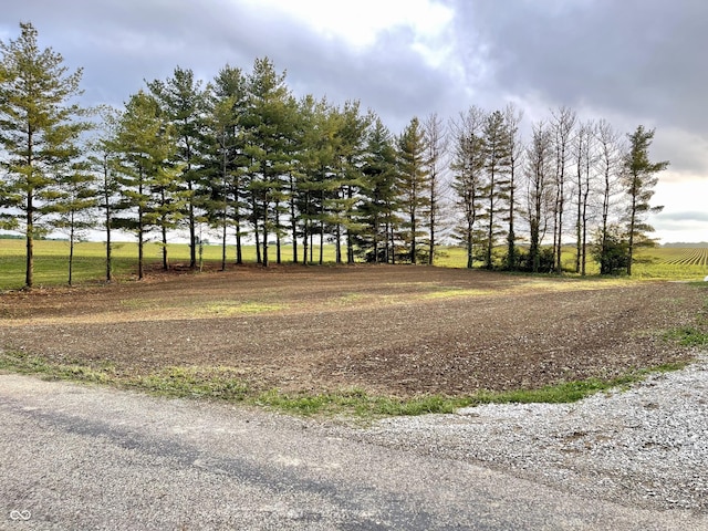 6593 N 800 W, Elwood, IN 46036 - view of yard