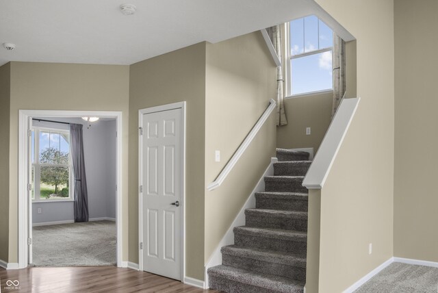 9018 E Gayle Dr, Morgantown, IN 46160 - stairway with wood finished floors and carpet floors