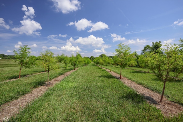 9018 E Gayle Dr, Morgantown, IN 46160 - view of grassy yard with a view of countryside