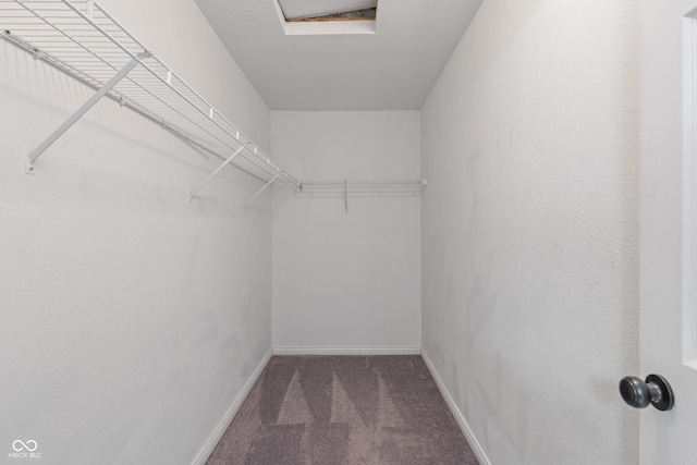 1408 Snead Cir, Avon, IN 46123 - spacious closet with carpet floors