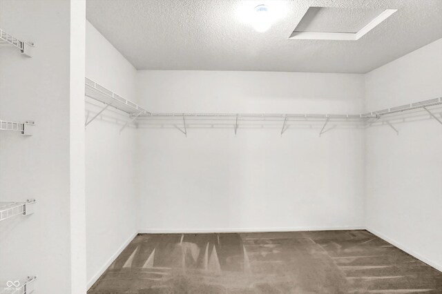 630 Harmony Way, Greenwood, IN 46143 - walk in closet with carpet flooring