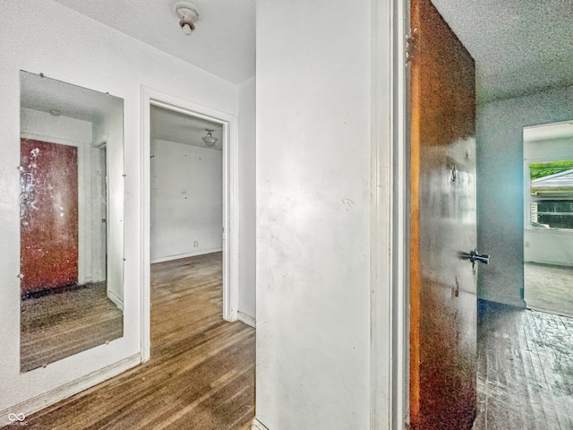 3615 N Dequincy St, Indianapolis, IN 46218 - hall featuring wood finished floors and baseboards