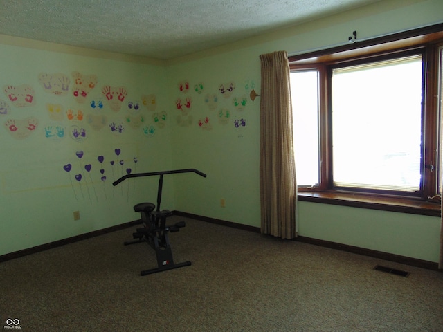 2625 S 200 E, Lebanon, IN 46052 - workout area featuring healthy amount of natural light, a textured ceiling, carpet, and baseboards