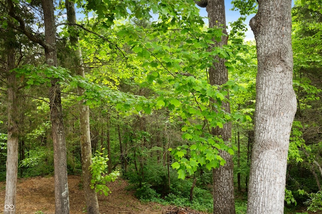 435 Cedar View Ln, Bedford, IN 47421 - view of nature