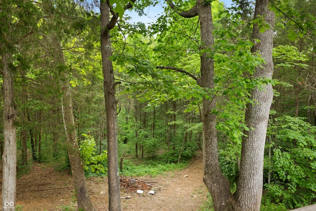 435 Cedar View Ln, Bedford, IN 47421 - view of woods
