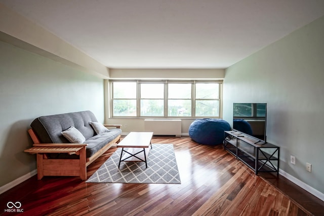 3965 N Meridian St Unit 3J, West, Indianapolis, IN 46208 - living area featuring radiator heating unit, wood finished floors, and baseboards