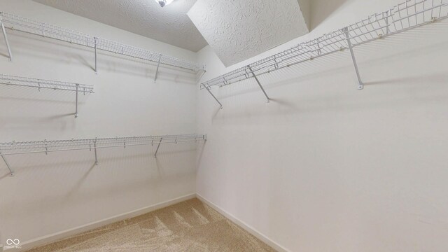 3959 Towhees Dr, Indianapolis, IN 46237 - walk in closet with light colored carpet
