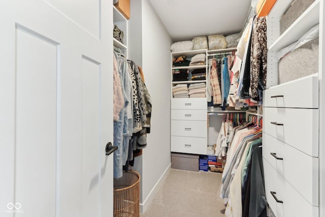 17551 Gruner Way, Westfield, IN 46062 - spacious closet featuring carpet floors