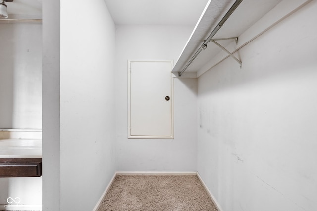 2263 Rome Dr, Indianapolis, IN 46228 - walk in closet with carpet