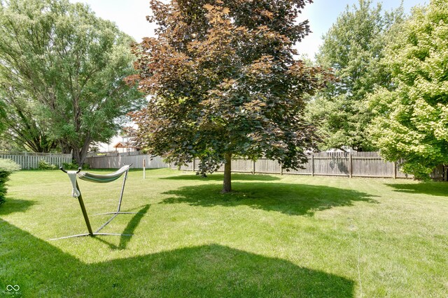 7942 Dillon Pl, Indianapolis, IN 46236 - photo 24