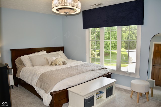 6862 Riverside Way, Fishers, IN 46038 - bedroom with carpet and baseboards