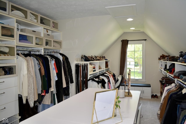 6862 Riverside Way, Fishers, IN 46038 - spacious closet with lofted ceiling and carpet floors
