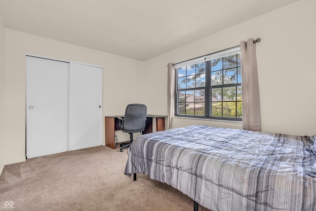 517 E Graham Pl, Bloomington, IN 47401 - bedroom with carpet floors and a closet