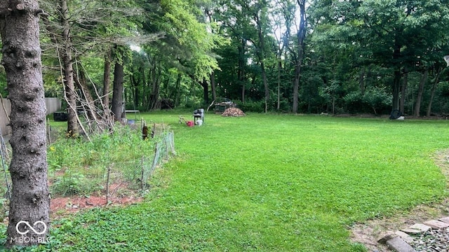 6396 Granny Smith Ln, Avon, IN 46123 - view of grassy yard
