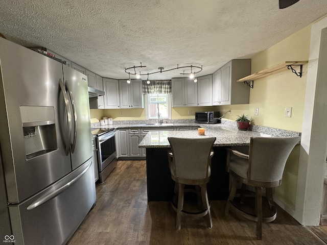 12967 N County Road 825 E, Roachdale, IN 46172 - kitchen with stainless steel appliances, gray cabinetry, a sink, a peninsula, and under cabinet range hood