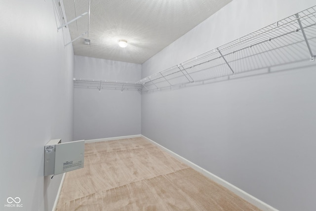 5852 Long Ridge Pl, Indianapolis, IN 46221 - spacious closet with carpet floors