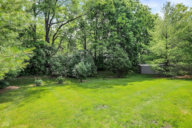 10965 Fairway Ridge Ln, Fishers, IN 46037 - view of green lawn