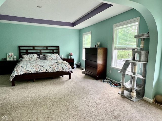 1518 Valdarno Dr, Greenwood, IN 46143 - carpeted bedroom featuring baseboards, a tray ceiling, and arched walkways