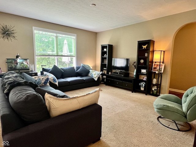 1518 Valdarno Dr, Greenwood, IN 46143 - carpeted living area featuring arched walkways and a textured ceiling